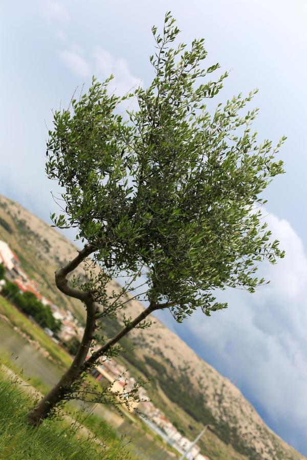 Apartmani Ria2 Pag Pag Town Bagian luar foto